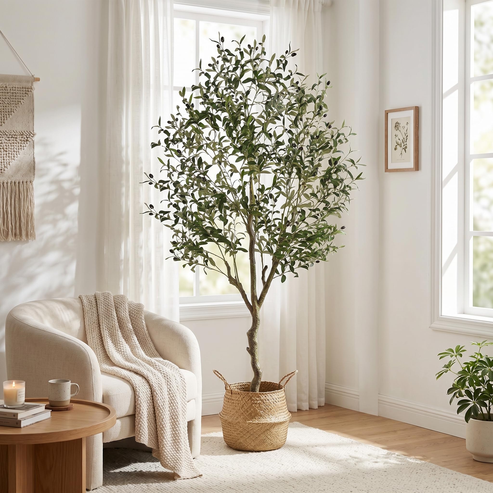 Jocoevol trunk detail highlights natural texture and stable base benefit