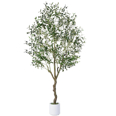 Jocoevol front view shows full 6FT faux olive tree adding instant greenery