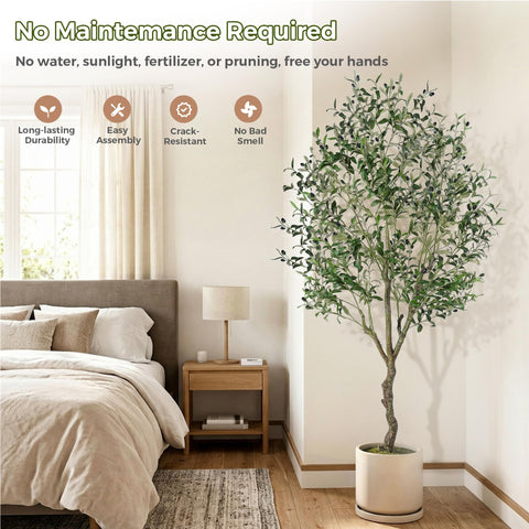 Jocoevol in living room demonstrates decorative focal point benefit