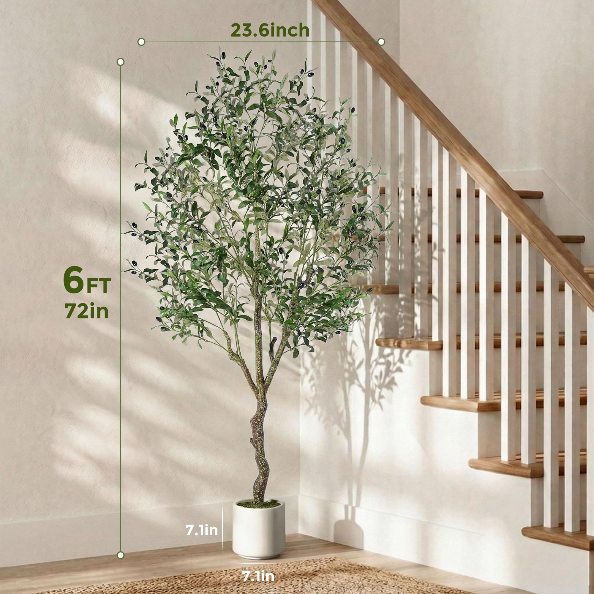 Jocoevol office styling shows durable greenery ideal for workspaces