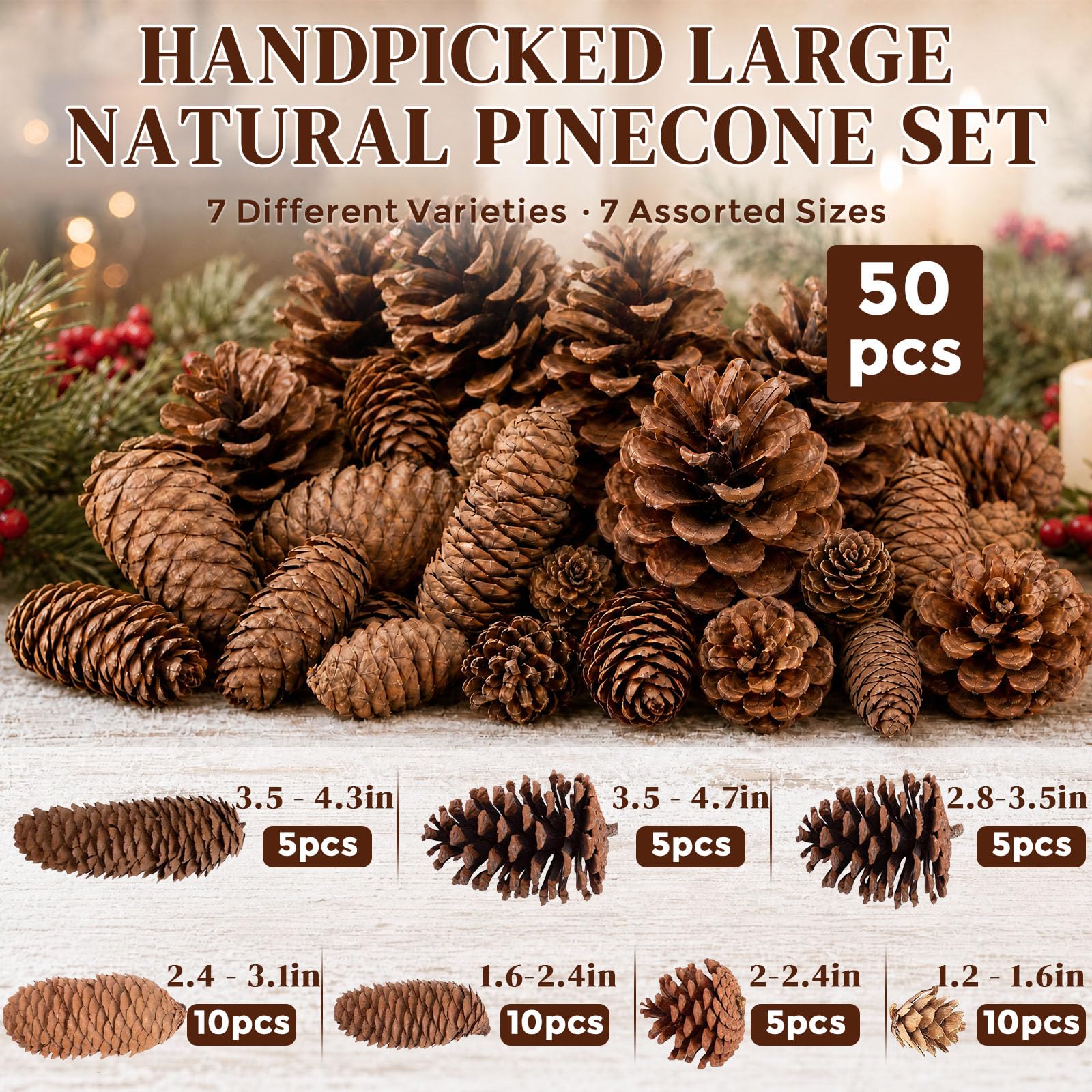 JOHOUSE close-up of pinecone texture highlighting natural detail and durability