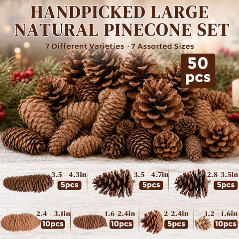 JOHOUSE close-up of pinecone texture highlighting natural detail and durability