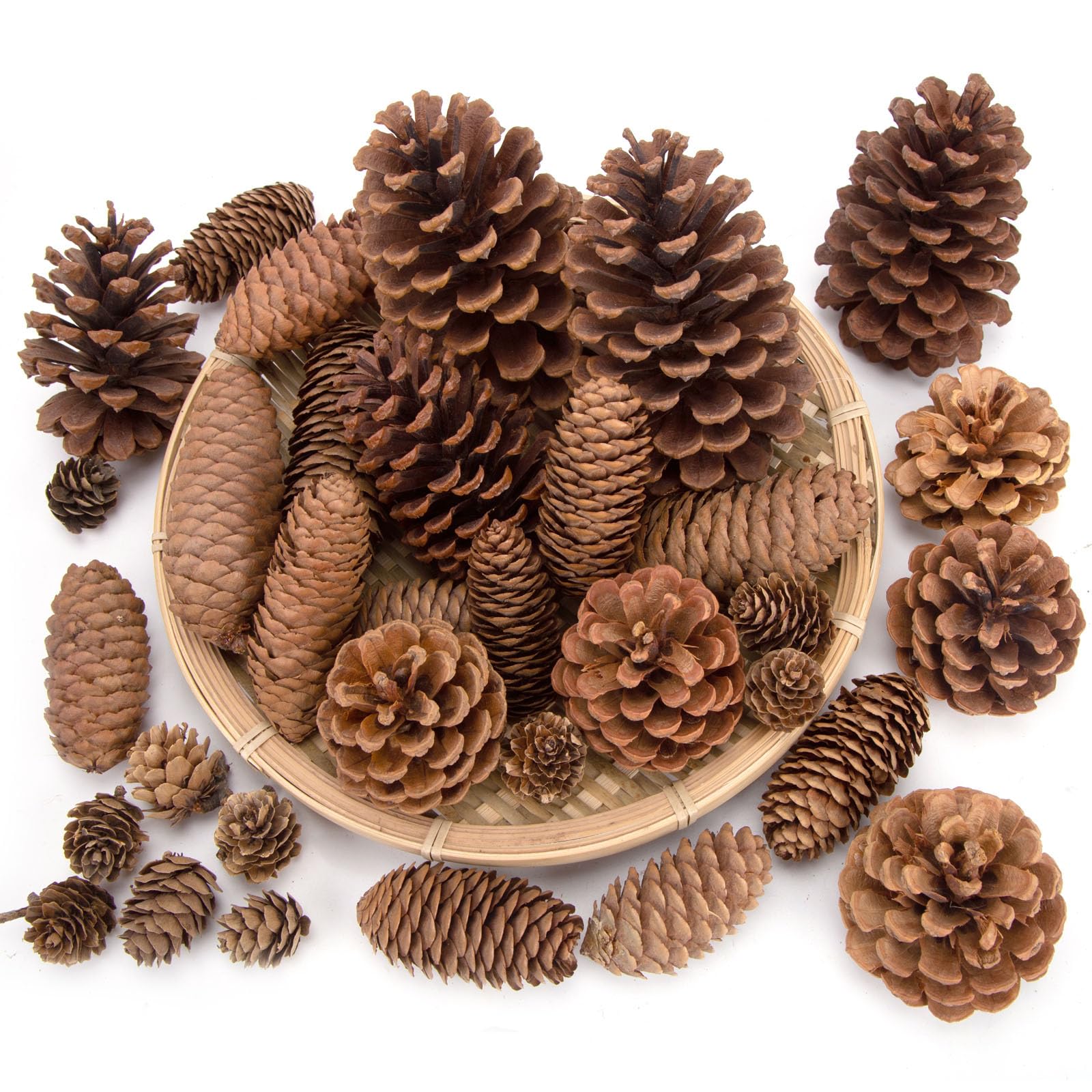 JOHOUSE front view of 50-piece pinecone set showing contents and rustic charm