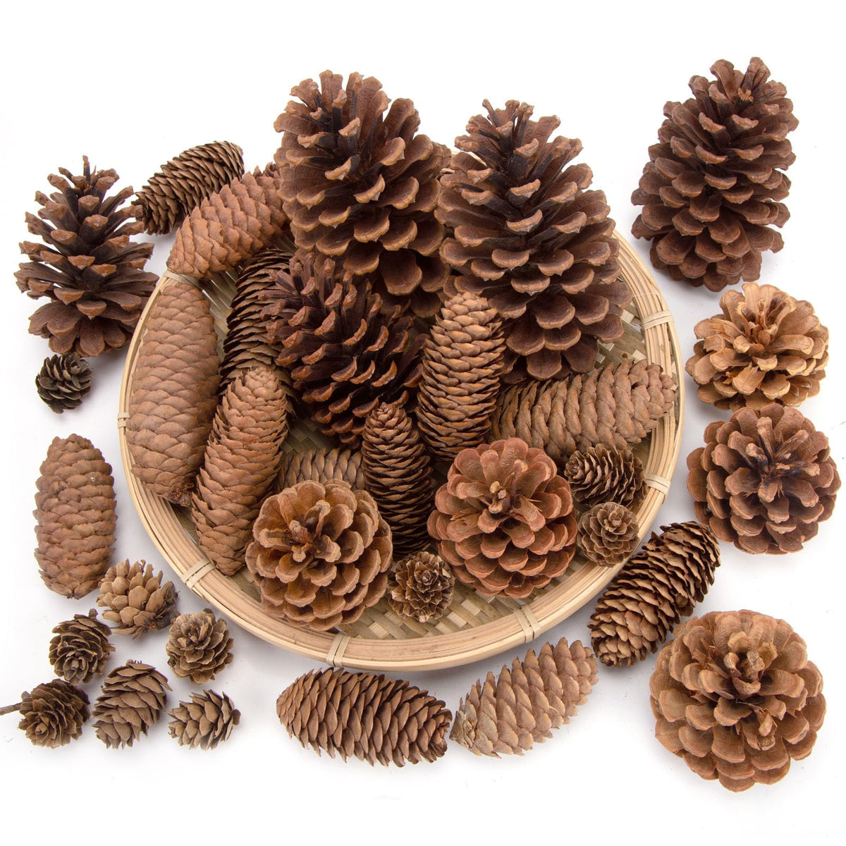 JOHOUSE front view of 50-piece pinecone set showing contents and rustic charm