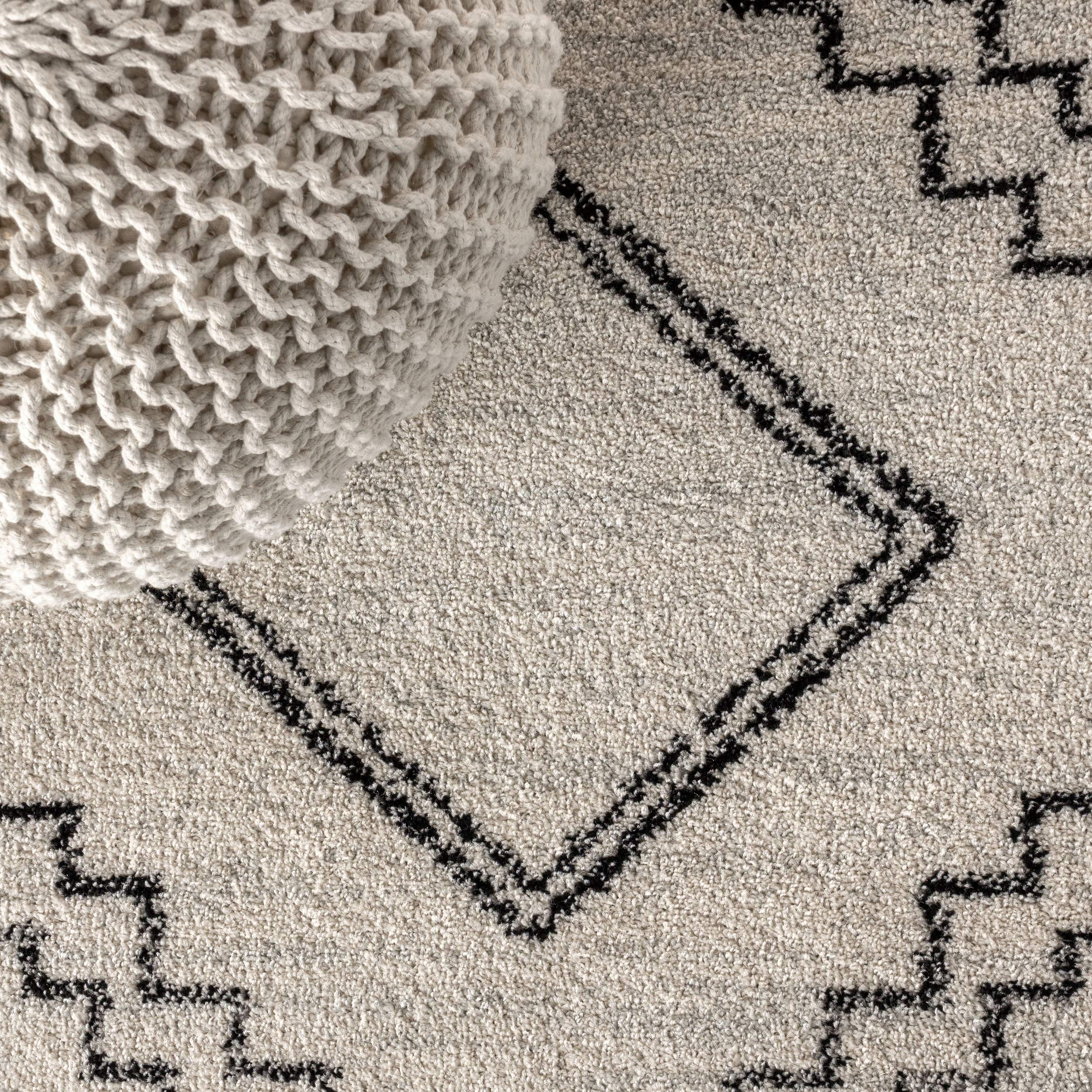 JONATHAN Y rug in living room adding graphic focal point and pet-friendly durability