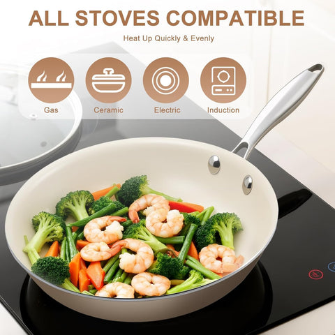 Jovire skillet beside a dinner plate showing compact 9.25-inch scale