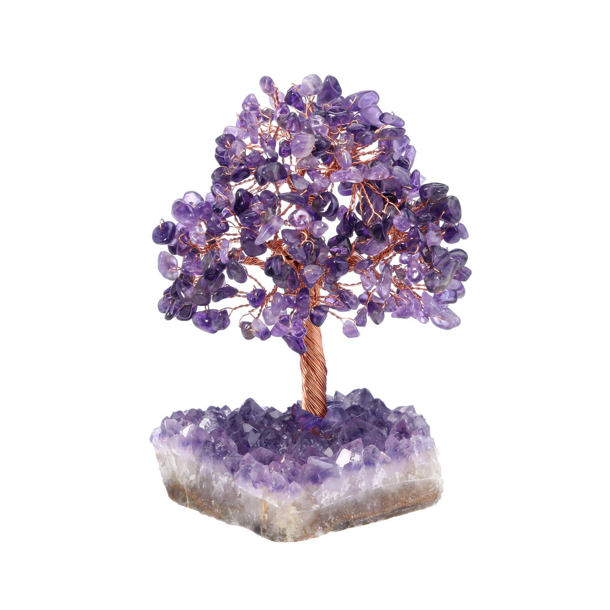 Jovivi amethyst money tree front view with rich purple base, elegant decor