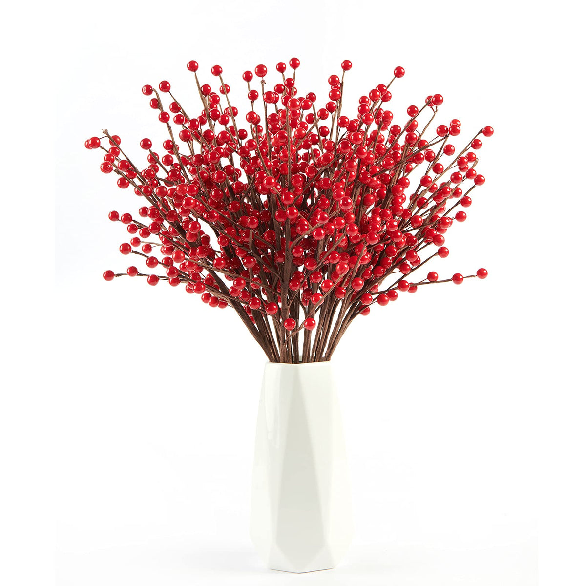 joyhalo front packaging showing 12 red berry stems and product count benefit