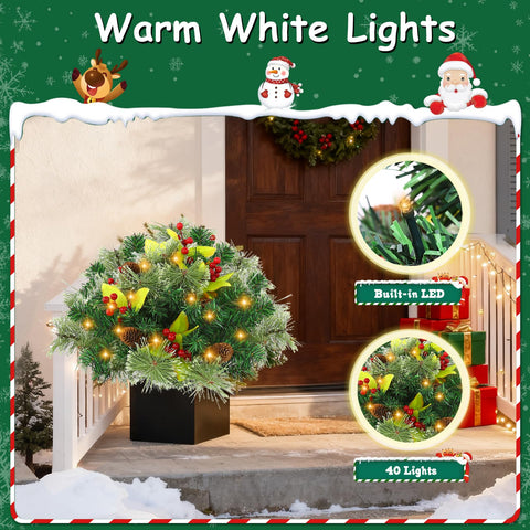 joyhalo warm white LEDs glowing and creating cozy ambiance