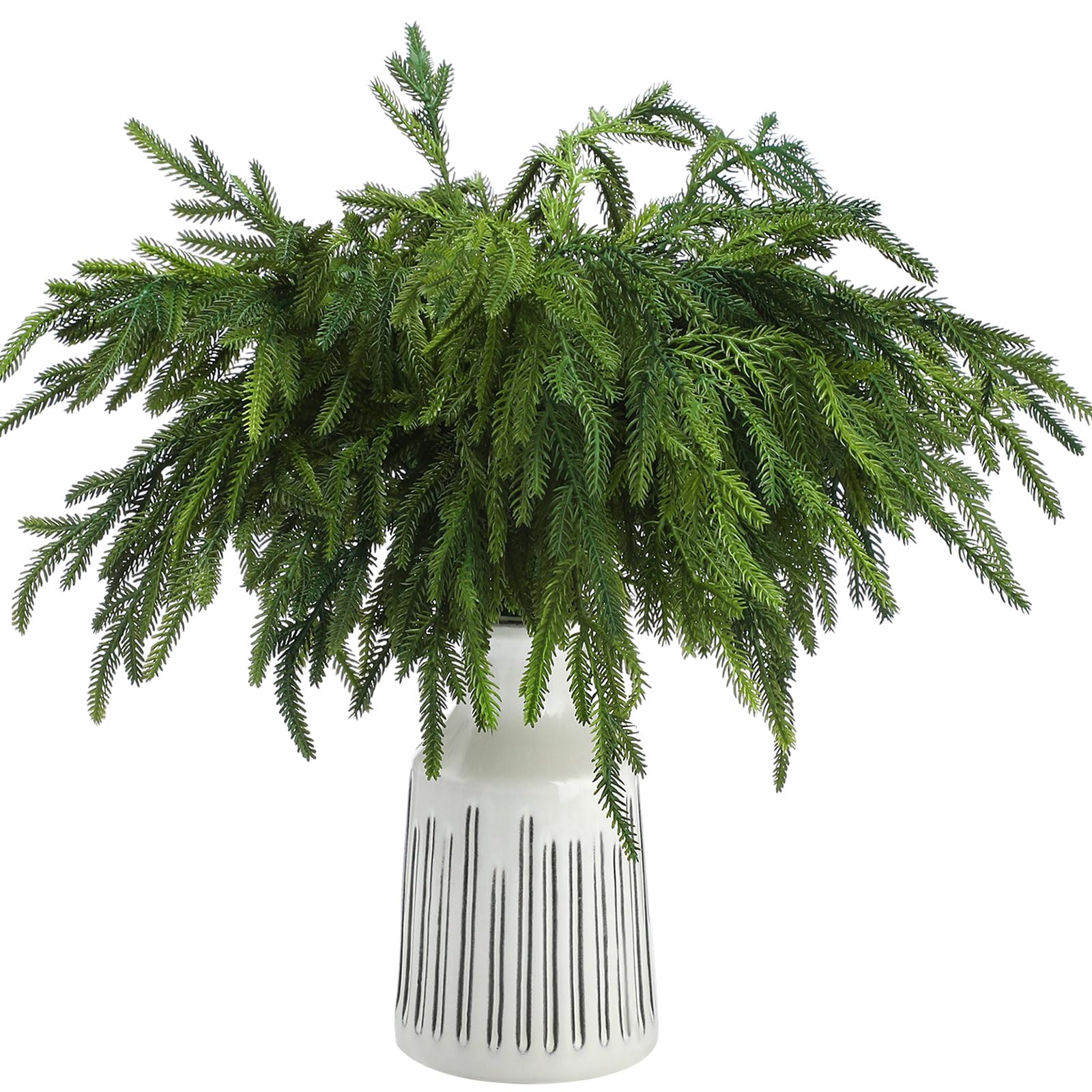 Jutom front view of 12-pack Norfolk pine stems showing full set and packaging benefit