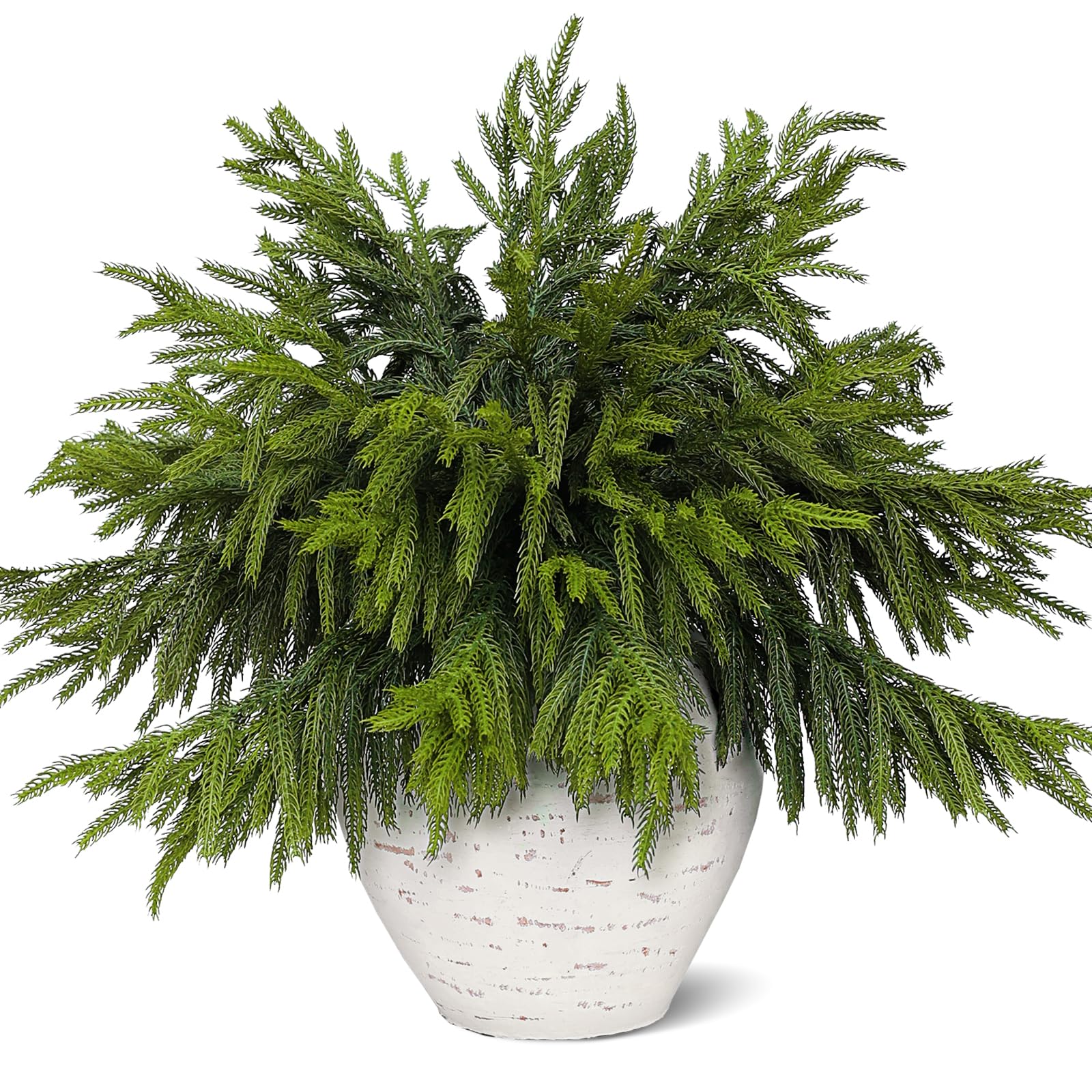 Juxdp front packaging showing 40 realistic Norfolk pine stems, easy holiday styling