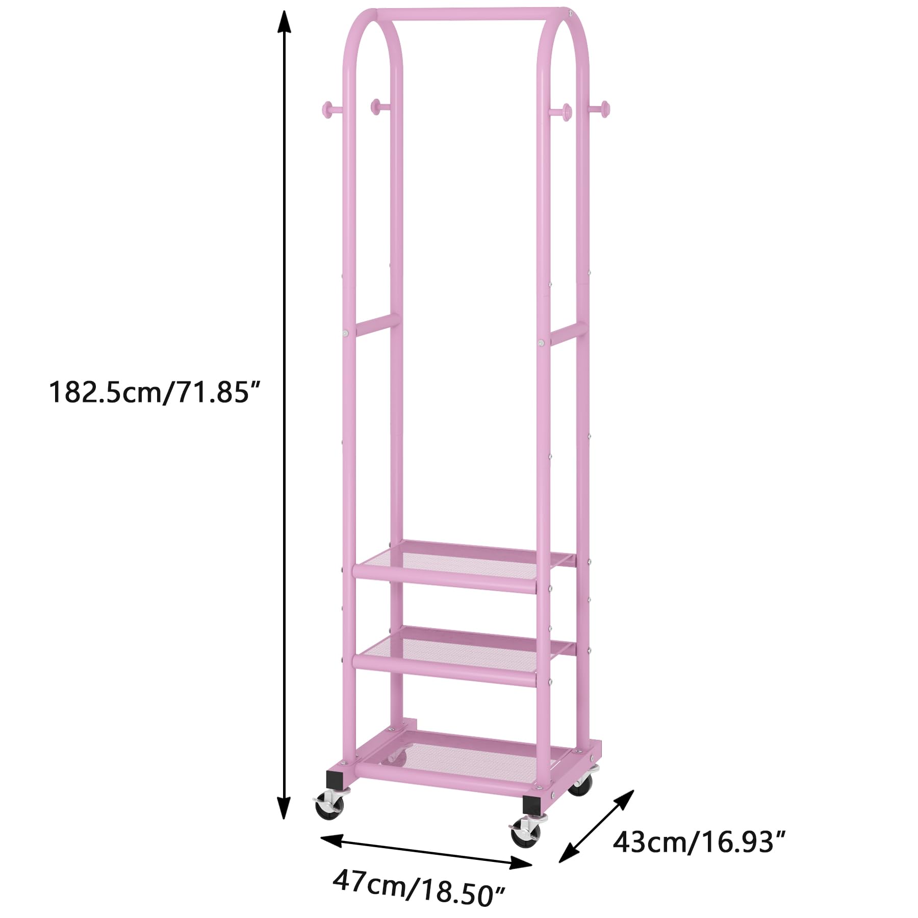 Kaitiemoo arched top highlighting stable frame and elegant appearance