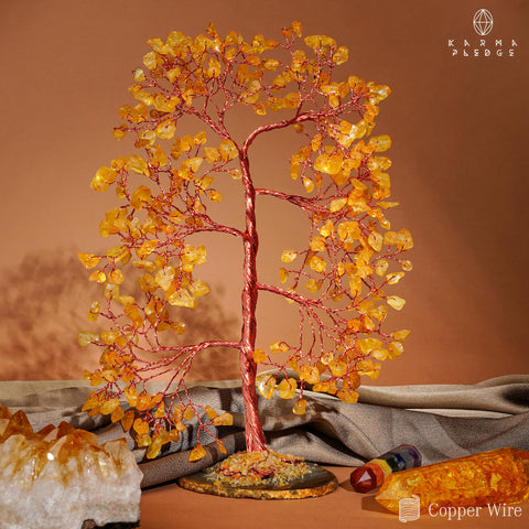 KARMAPLEDGE tree placed in living room showing decorative impact and ambience