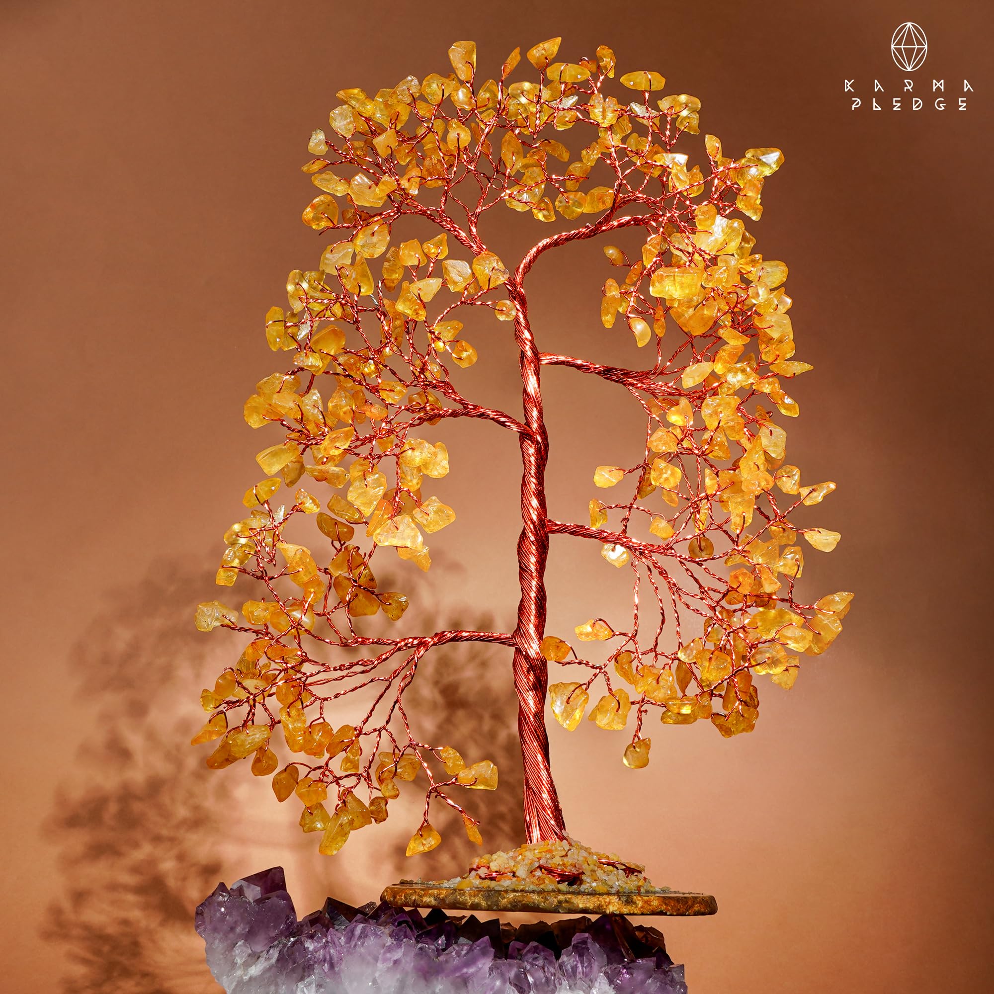 KARMAPLEDGE tree on shelf among books showing how it enhances everyday decor
