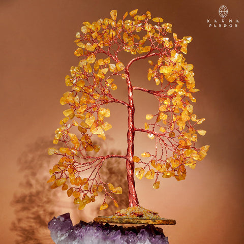 KARMAPLEDGE tree on shelf among books showing how it enhances everyday decor