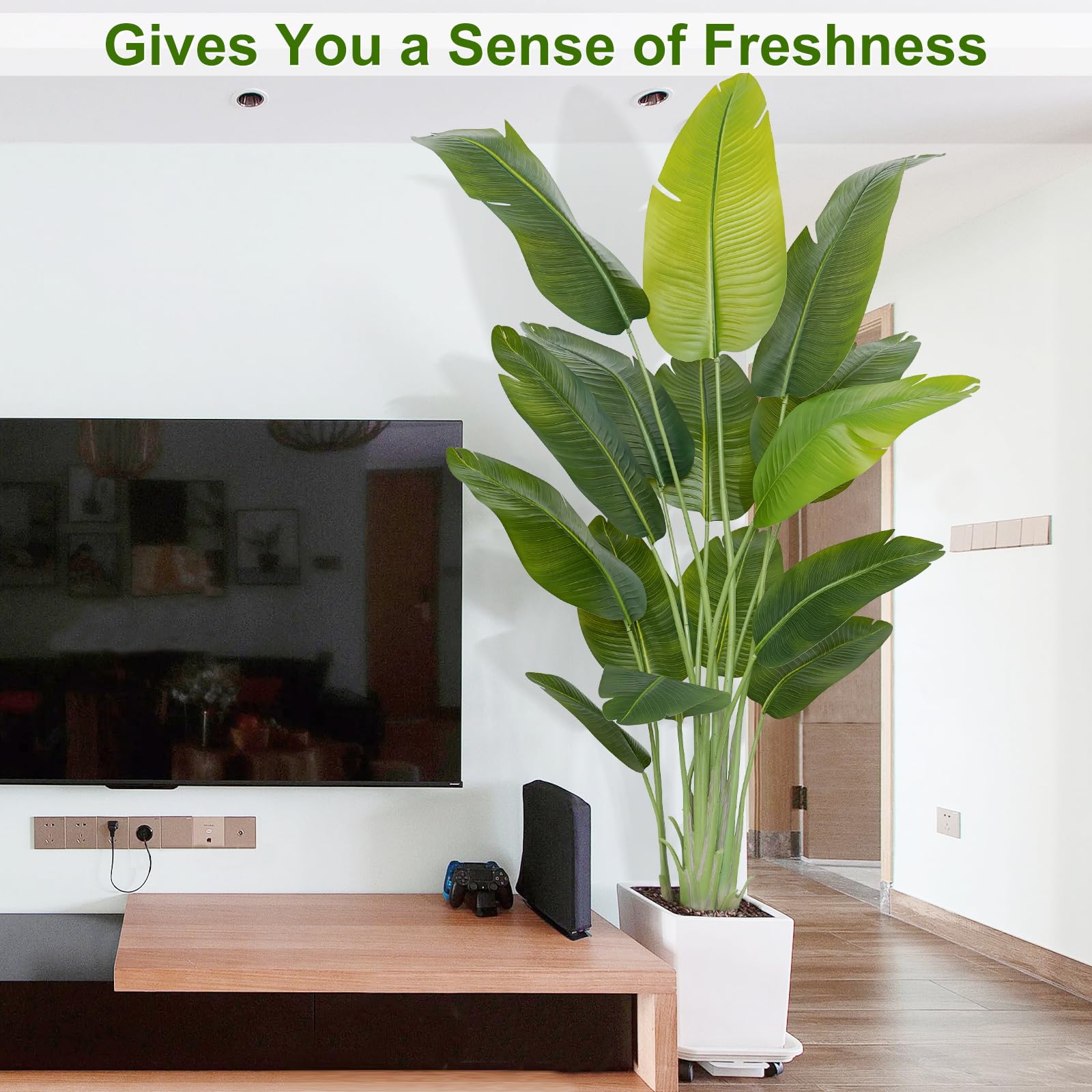 Keeplush in office reception creating a welcoming, durable green focal point