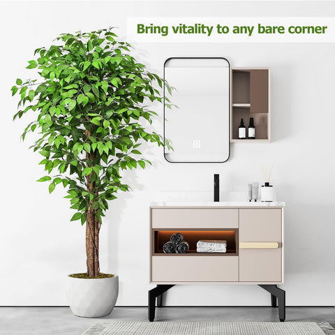 Keeplush ficus staged in living room adding green focal point
