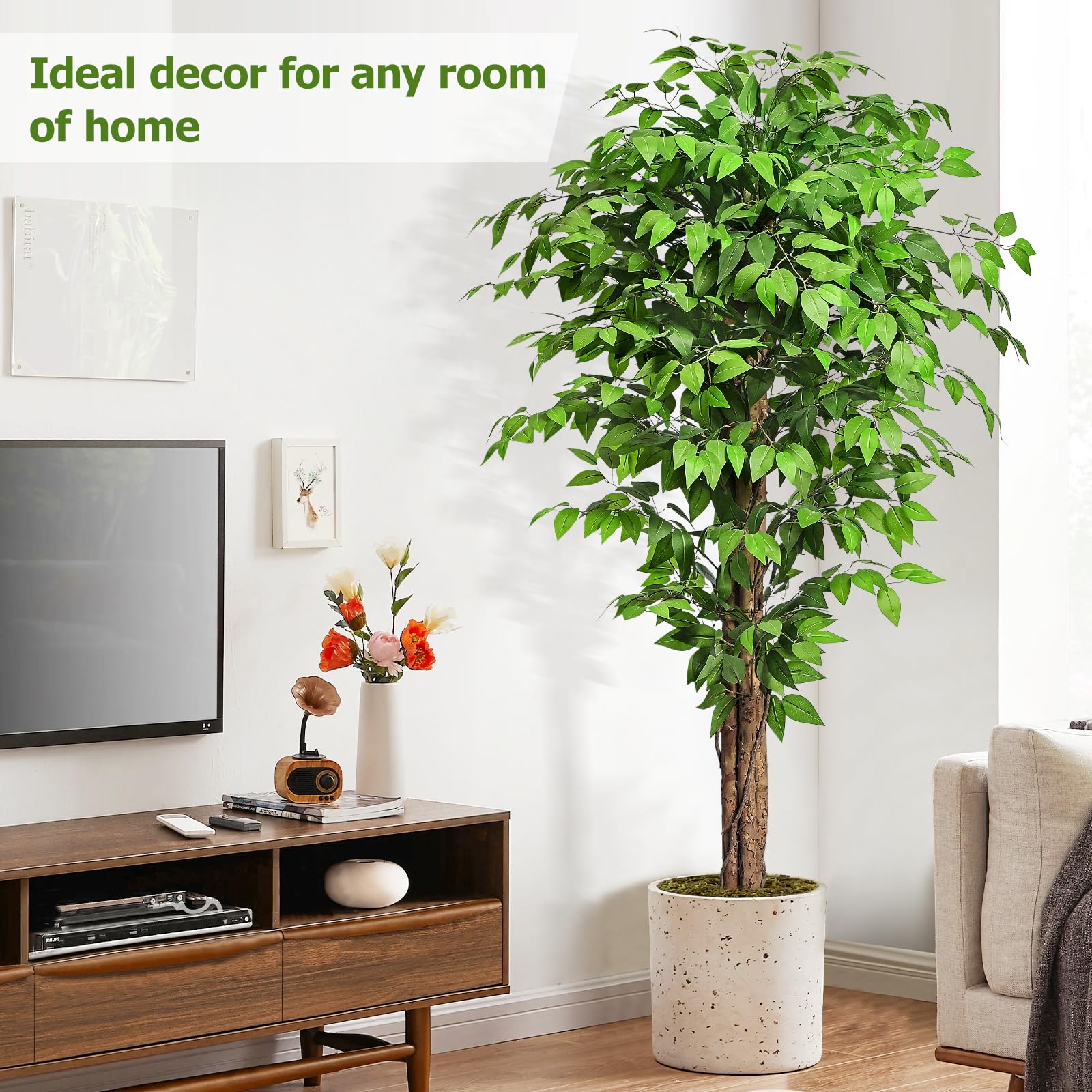 Keeplush ficus black pot with dried moss offering stable support