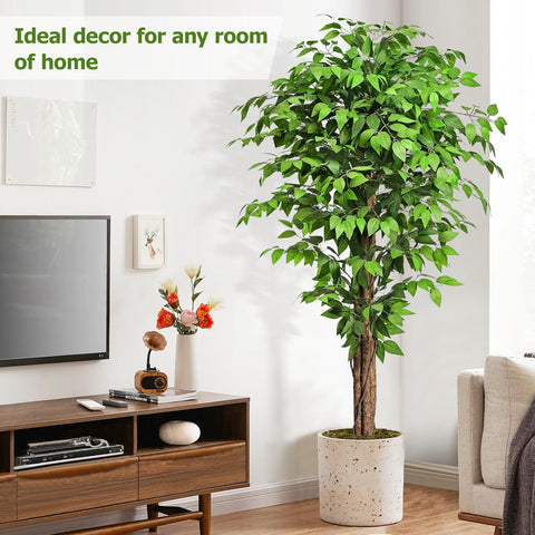 Keeplush ficus black pot with dried moss offering stable support