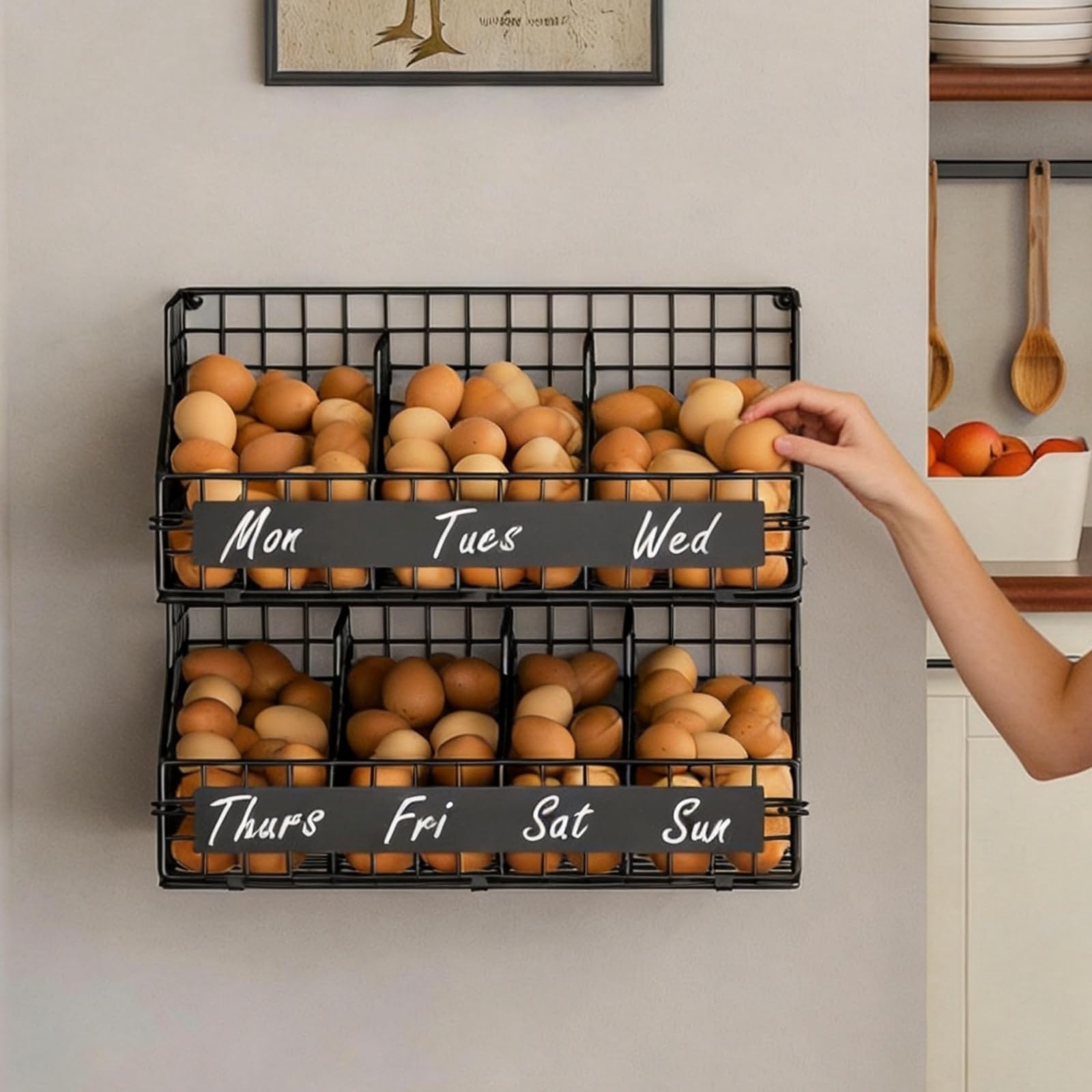keomaisyto front view of metal egg holder showing neat countertop organization and capacity