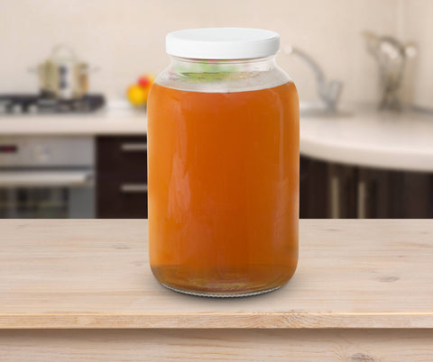 kitchentoolz jar with kombucha ferment showing easy monitoring benefit
