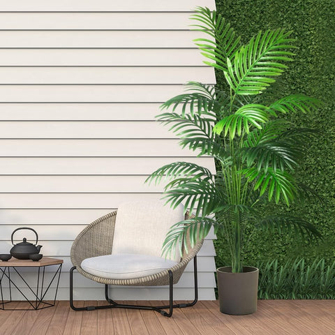 Kmitang on sheltered patio adding weather-safe decorative greenery