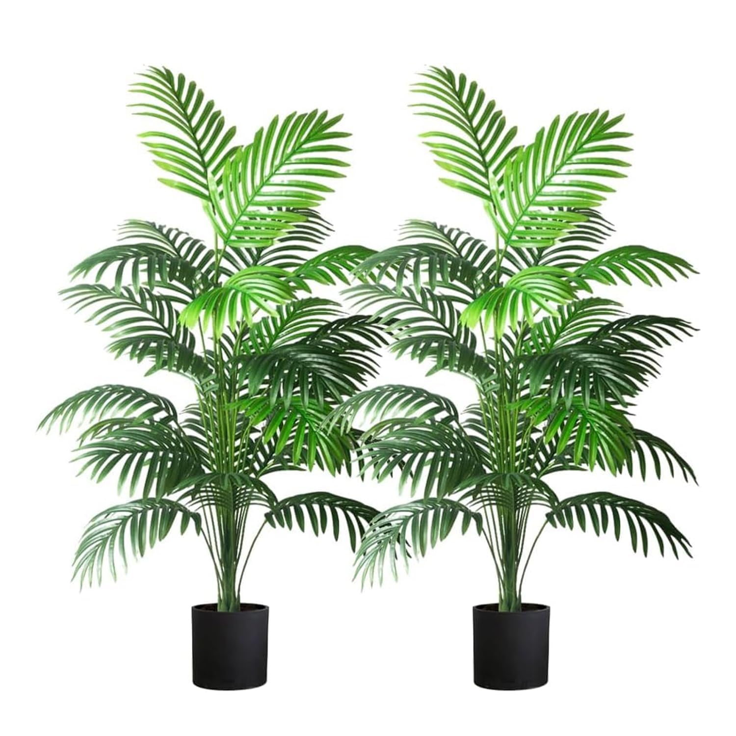 Kmitang front view of both 4ft palm trees showing lush decor benefit