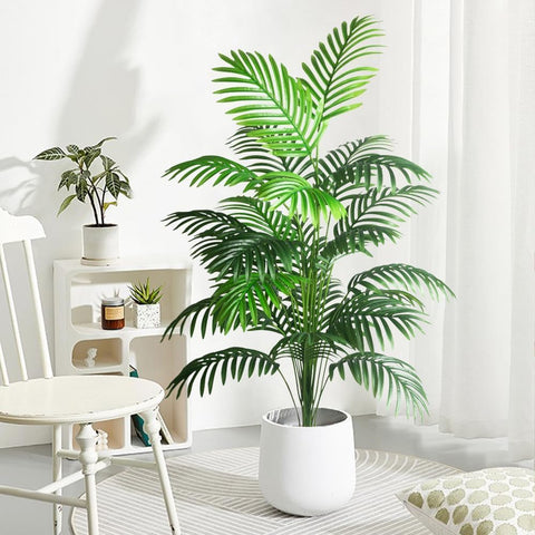 Kmitang palm next to chair showing 4ft scale and space-saving benefit