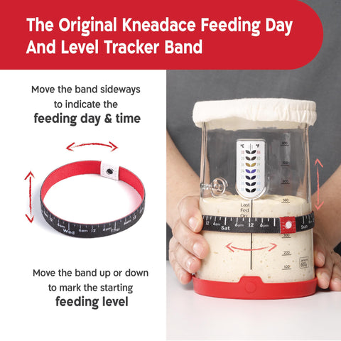 KNEADACE clear feed and weight lines on jar for precise feeding
