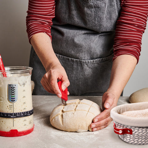 KneadAce size comparison with hand showing 34oz jar capacity and real-world scale