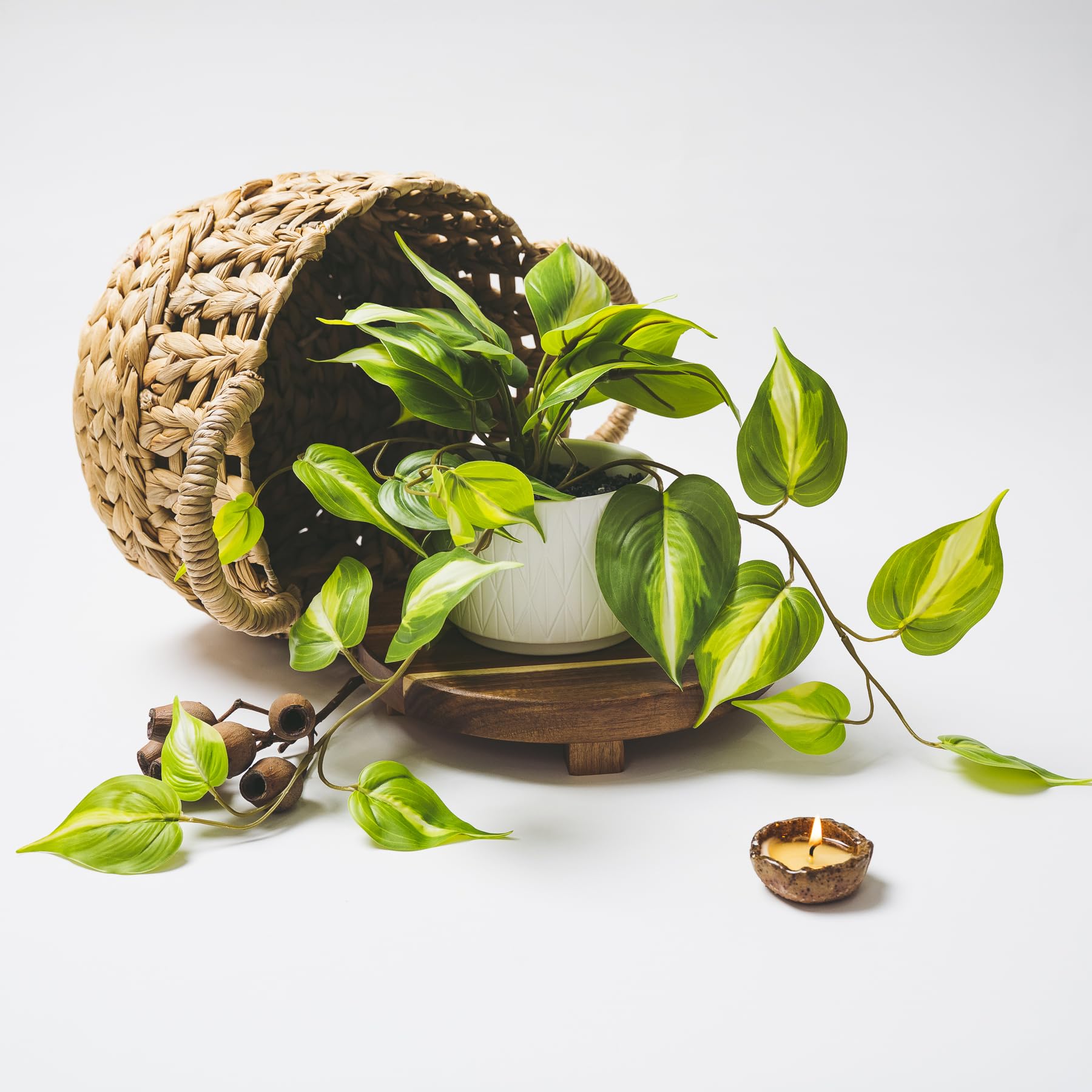 Kurrajong Farmhouse in bathroom setting showing moisture-safe, maintenance-free greenery