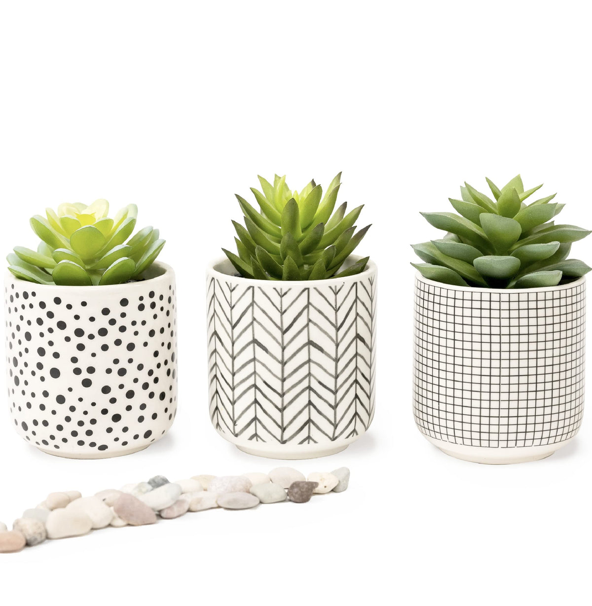 Kurrajong Farmhouse three-potted succulents front view adds instant style
