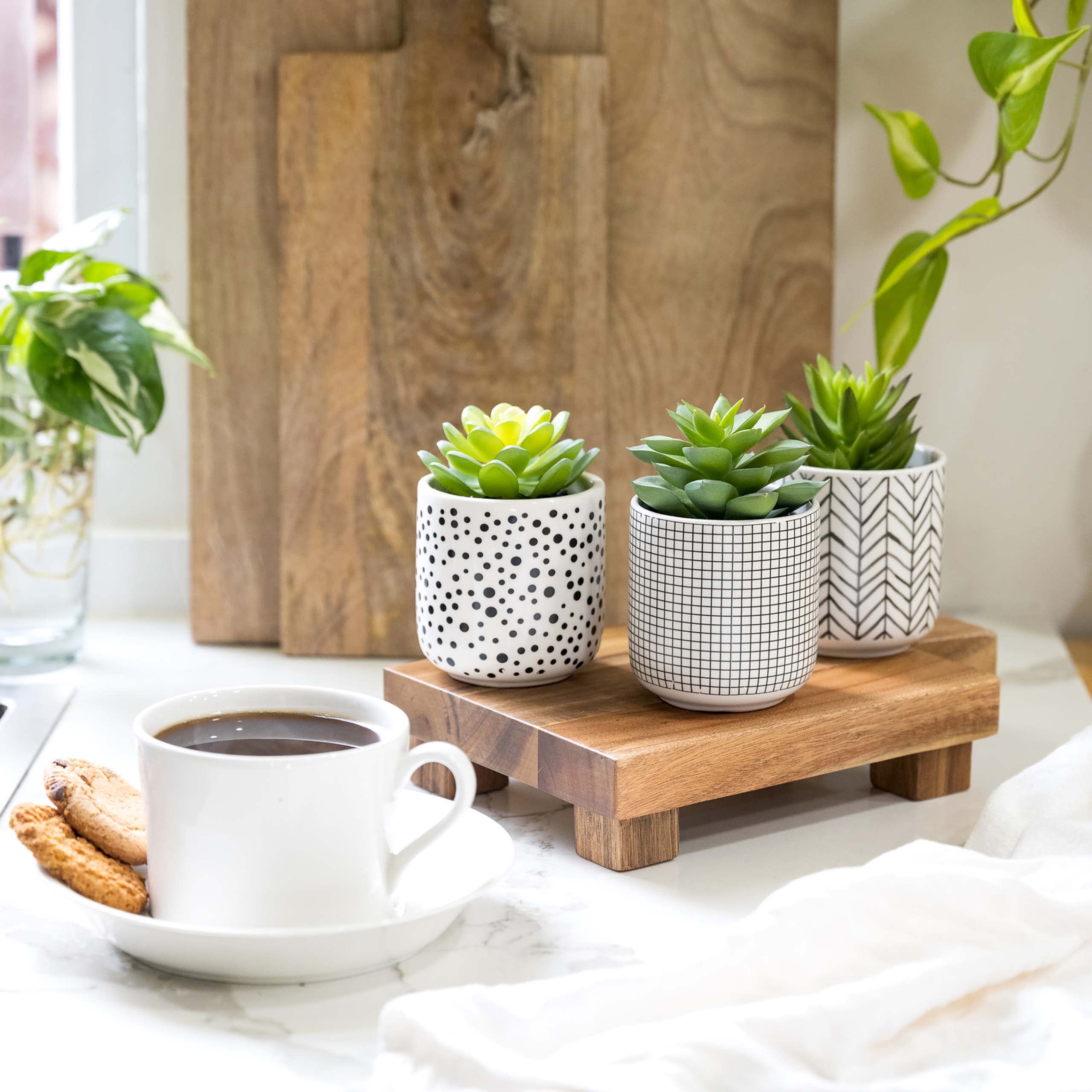 Kurrajong Farmhouse trio styled on desk for tidy, low-maintenance greenery