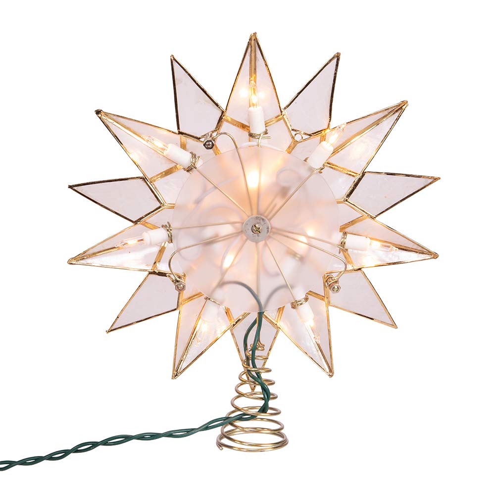 Kurt S. Adler star wrapped and stored safely in protective box