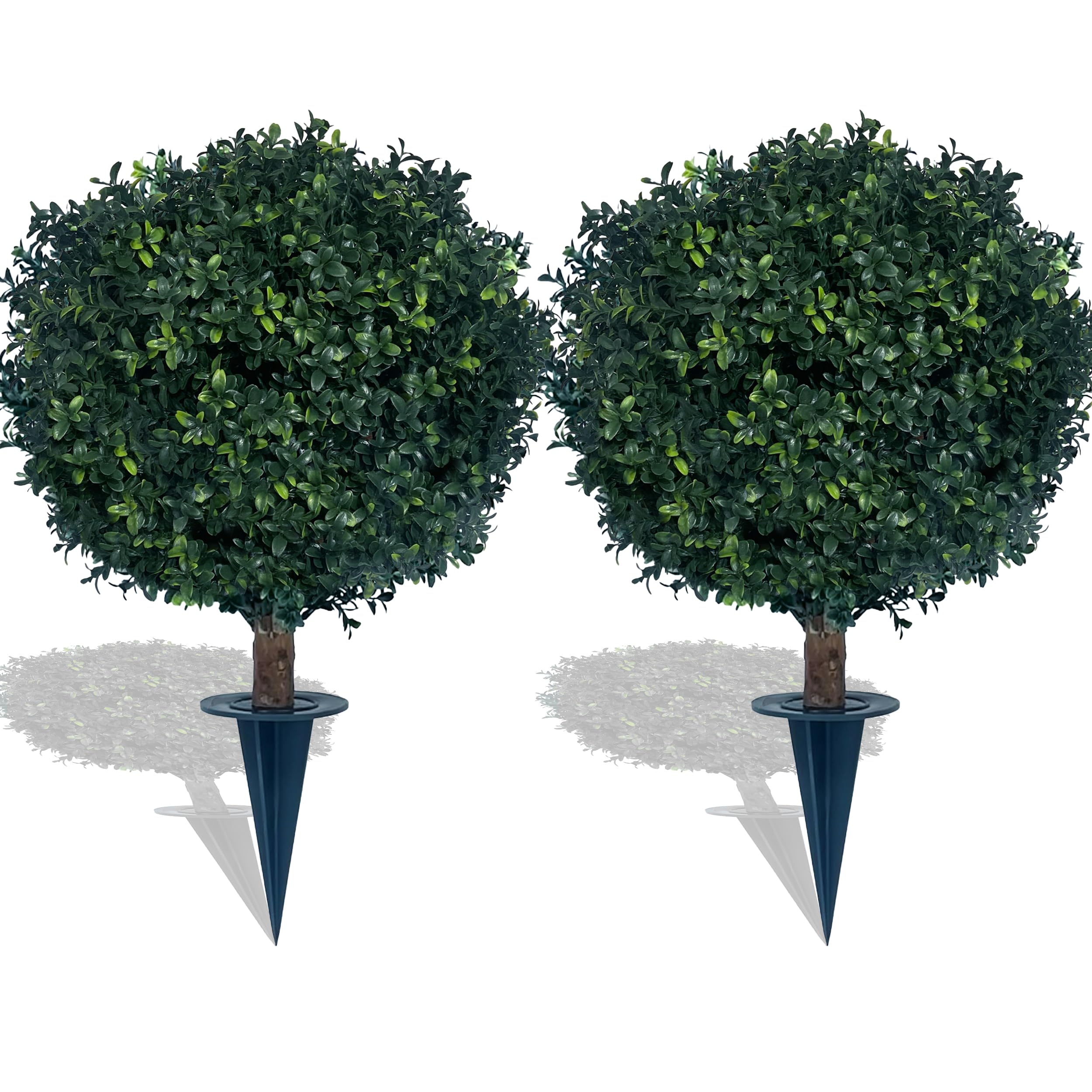 kyesyes front view showing full foliage and instant curb appeal