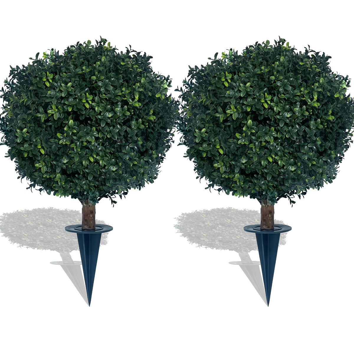 kyesyes front view showing full foliage and instant curb appeal