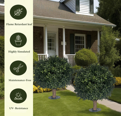 kyesyes in planter demonstrating tidy, low-maintenance decoration benefit
