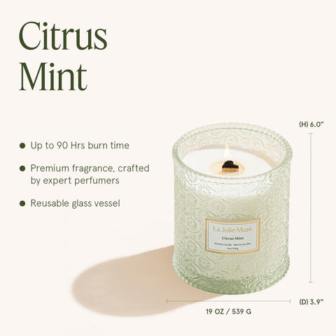 LA JOLIE MUSE candle next to book showing 19 oz scale, visual size reference