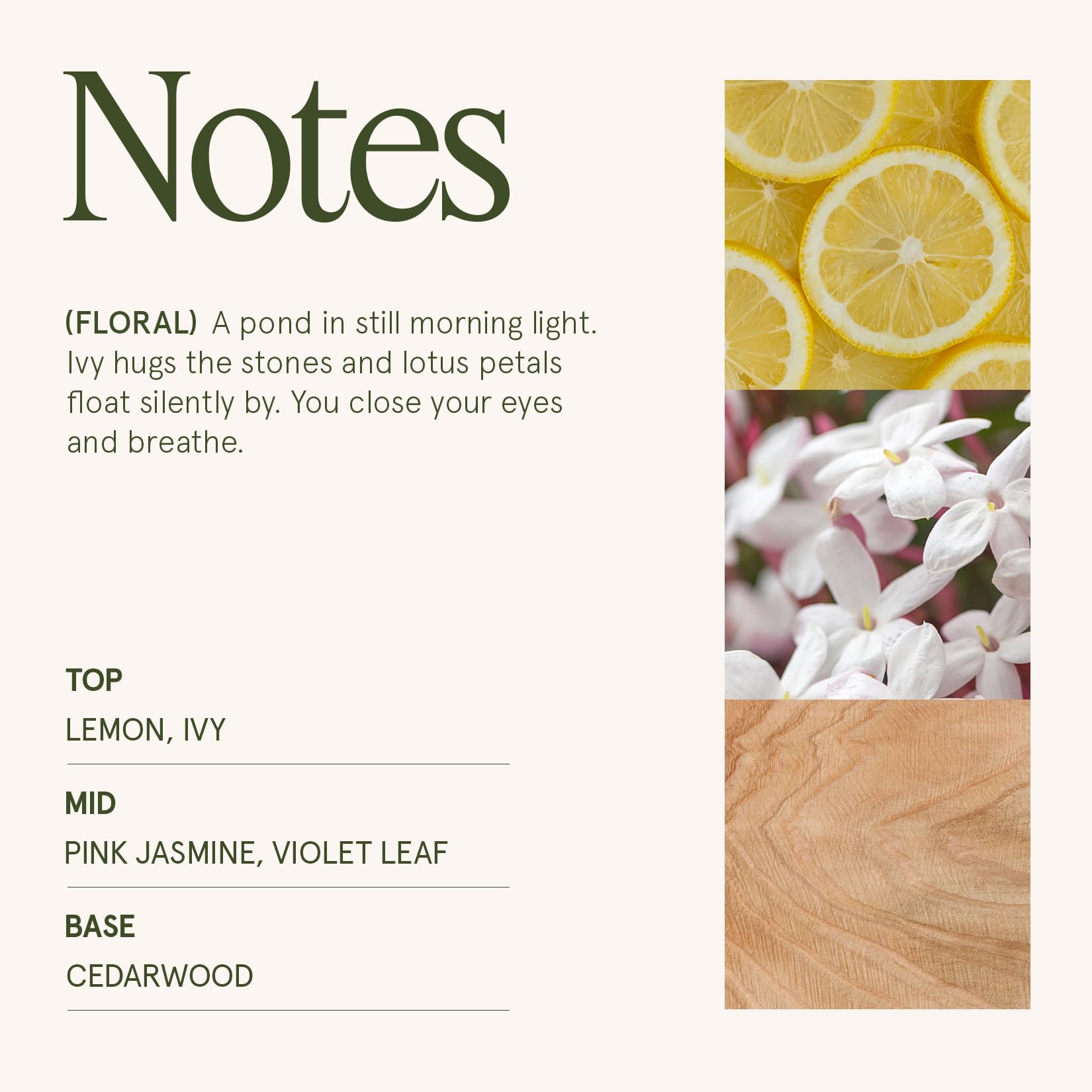 LA JOLIE MUSE soy wax texture close-up showing smooth pour and clean-burning formulation