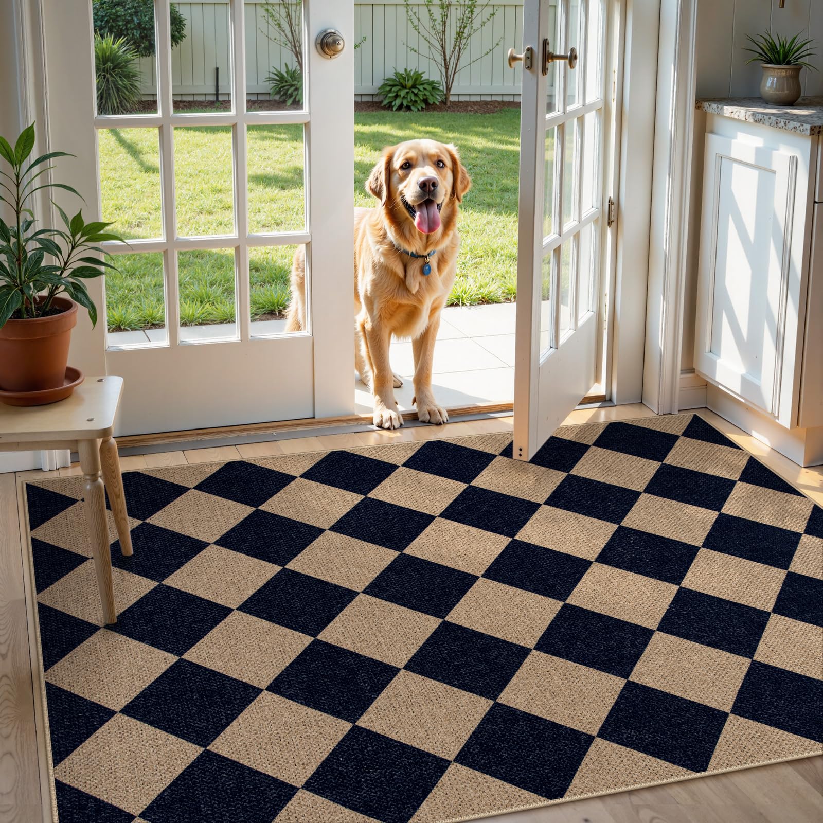 Lahome Colette front view showing checkerboard pattern and curb appeal