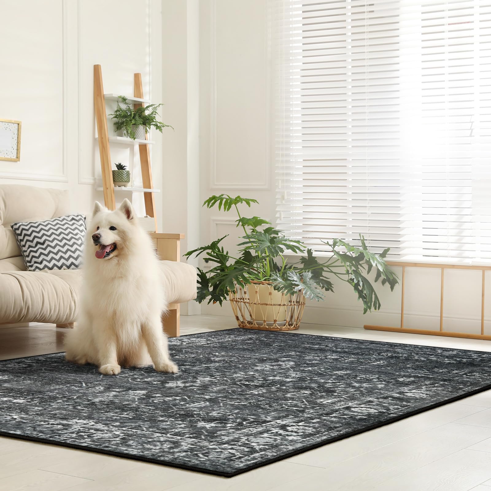 Lahome Margot with a pet on rug showing low pile pet friendly benefit