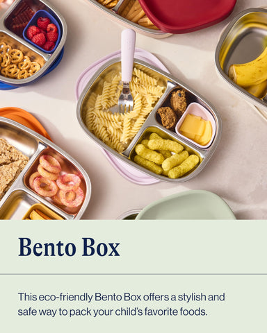 Lalo bento box open with separated foods demonstrating organized meal storage