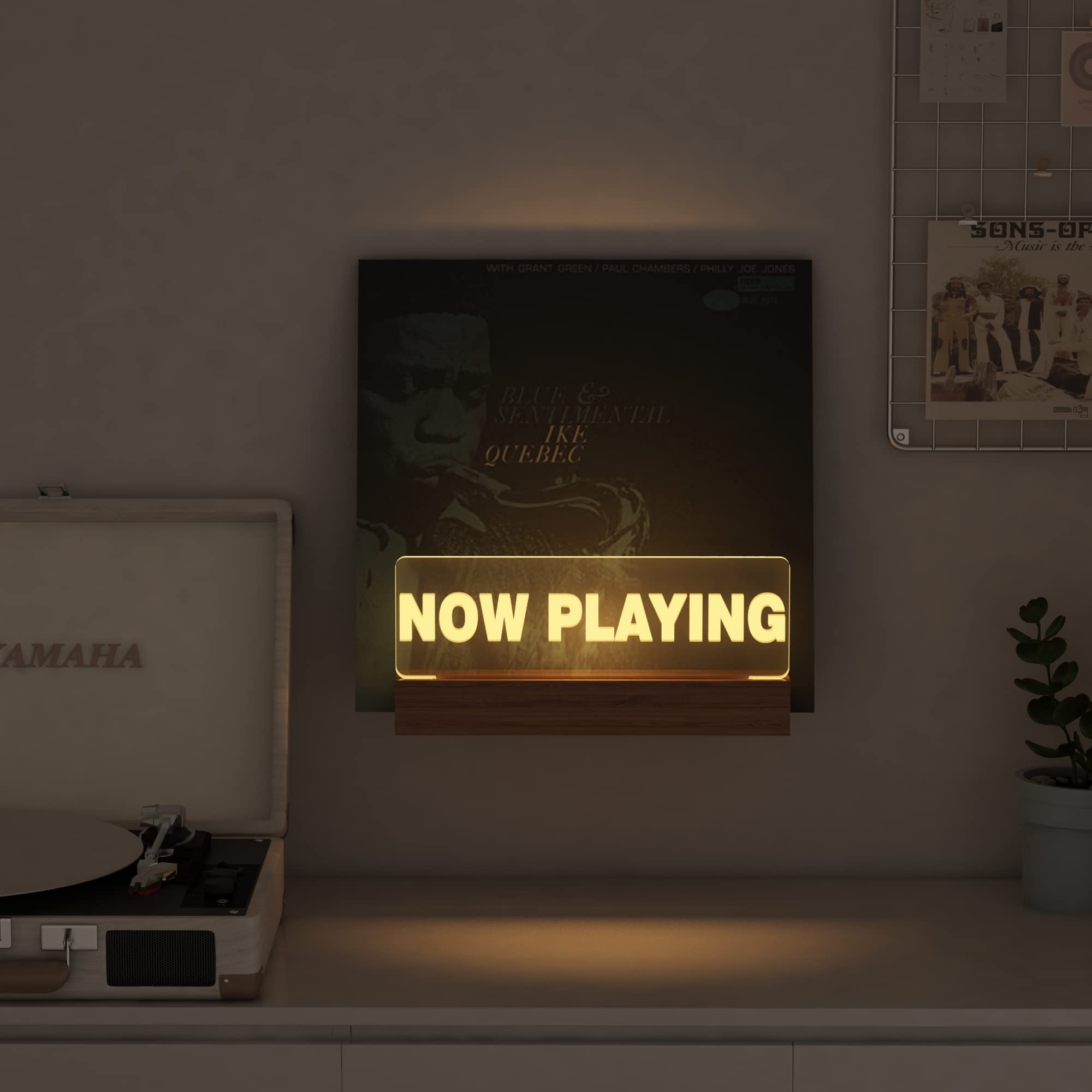 Lampeez acrylic slot holding a record edge securely, displays album cover clearly