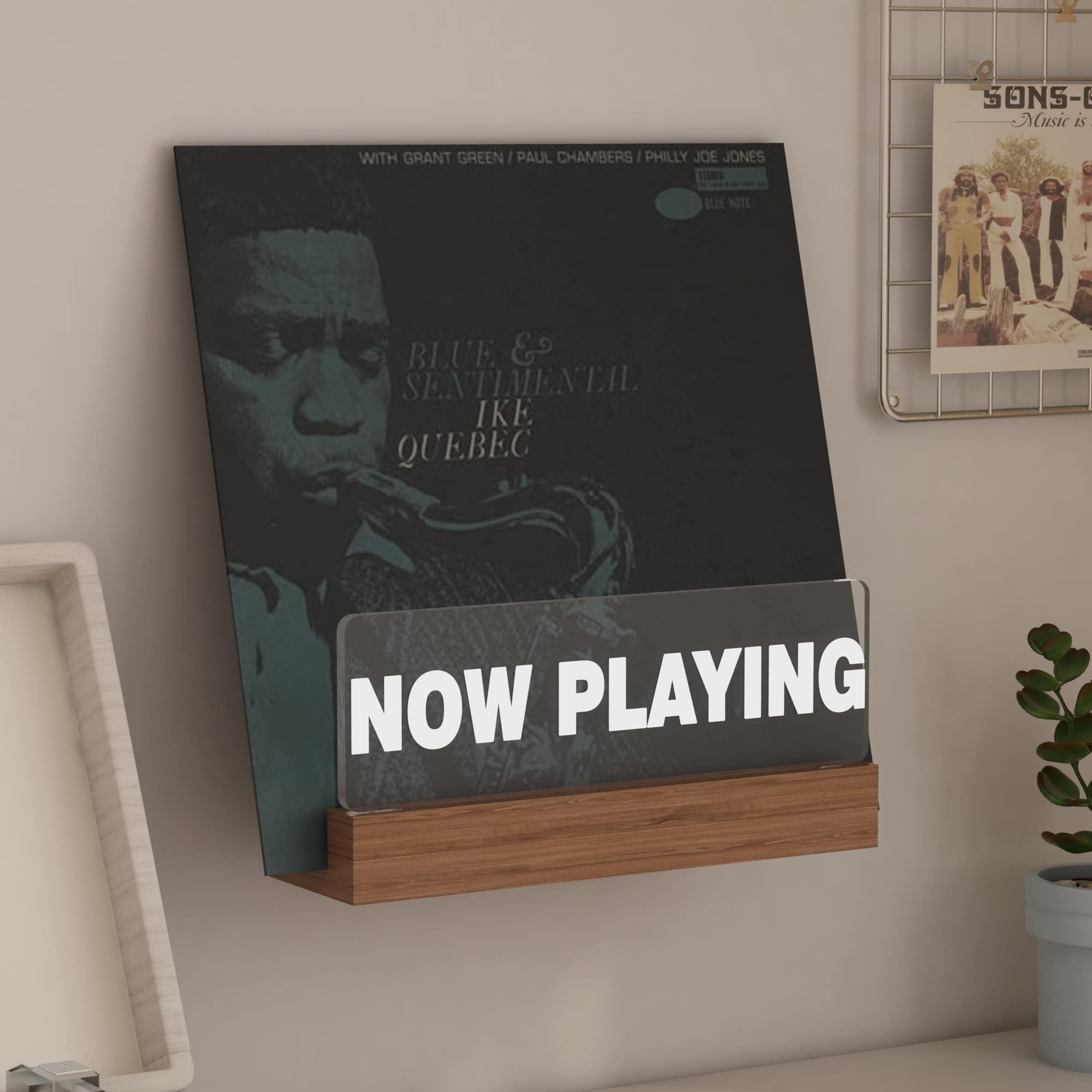 Lampeez styled on shelf with decor, turns featured album into a centerpiece