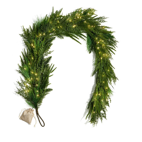 LampLust close-up of Norfolk pine foliage texture displaying realistic detail and depth