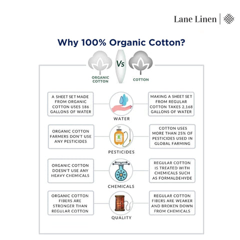LANE LINEN bedroom morning light lifestyle showing breathable, fresh sheets