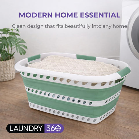 Laundry 360 next to chair showing scale and 40L capacity at a glance