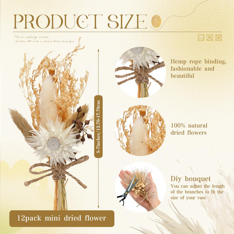 Layhit close-up of dried flower texture highlighting natural detail