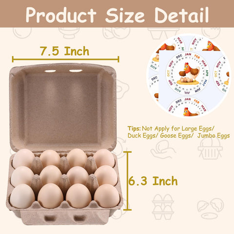 LayHyand open carton holding a dozen eggs demonstrating secure clamshell closure