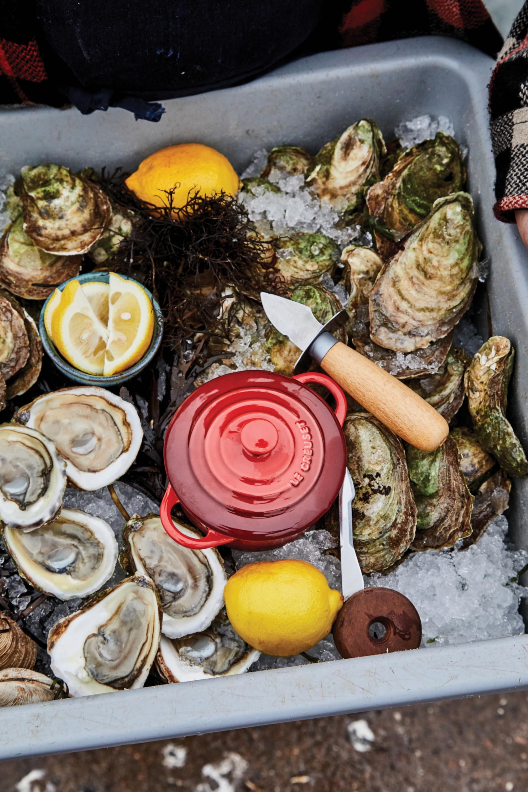 Le Creuset mini cocotte plated on table showing single-serve presentation advantage